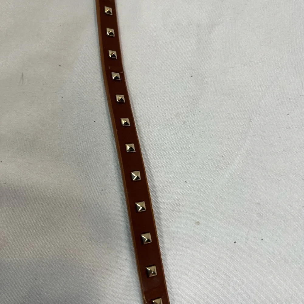 Thin brown belt with gold buckle & embellishments
